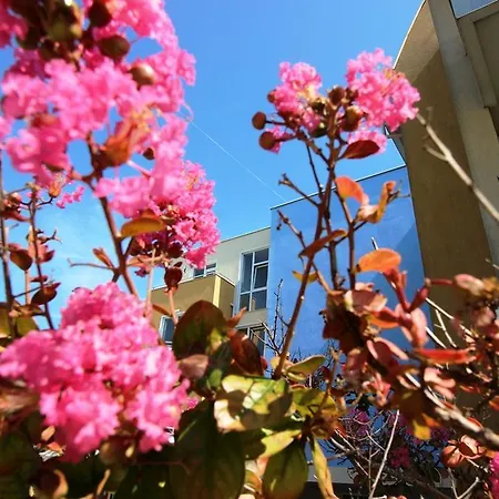 Lucky Complex Апартаменты Равда